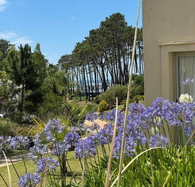 Casa en alquiler sobre Laguna Blanca, La Barra.
